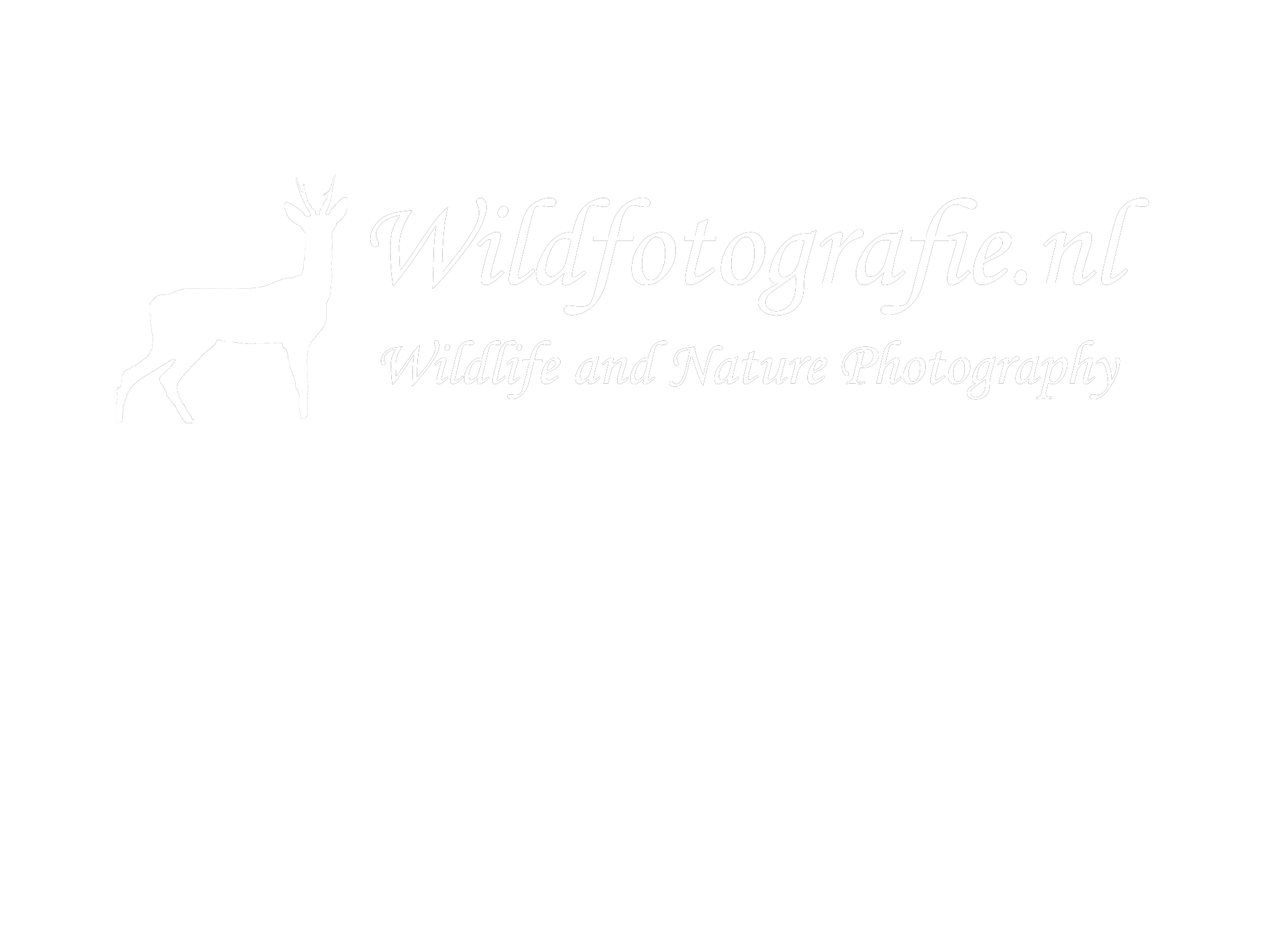 Wildfotografie.nl Wildlife and Nature Photography